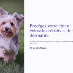 1 Protegez votre chien evitez les recidives de dermatite