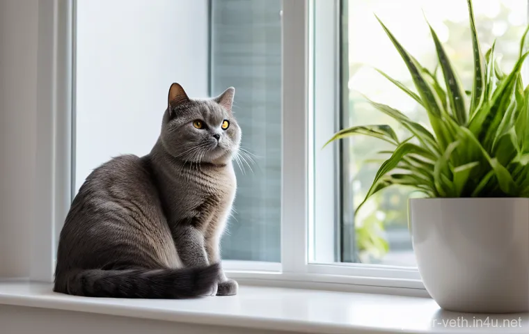 고양이 눈물 자국 제거법 - **Prompt 2: Gentle Daily Care - A Moment of Connection**
    "A close-up, warm-toned shot focusing o...