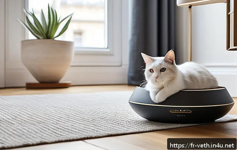Comment apaiser l’anxiété de séparation chez votre animal : méthodes efficaces et conseils pratiques 3 반려동물 분리불안 치료법 관련 이미지 1