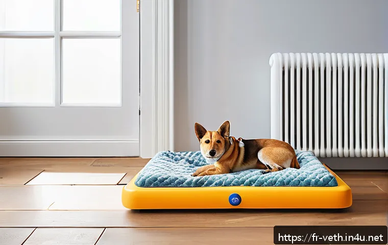 Comment apaiser l’anxiété de séparation chez votre animal : méthodes efficaces et conseils pratiques 4 반려동물 분리불안 치료법 관련 이미지 2
